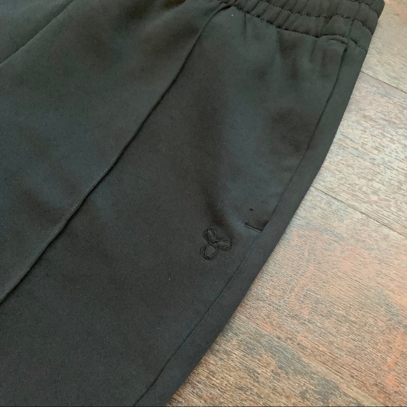 NWT Aritzia TNA Becca Joggers - Picture 3 of 9